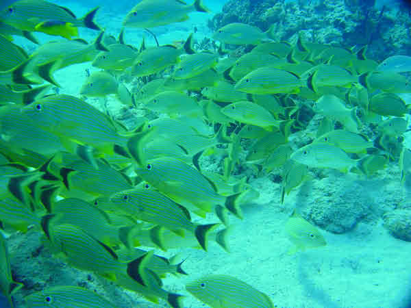 DSC04091