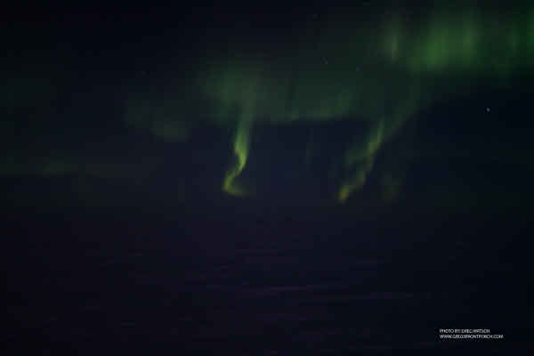 IMG_0938 copy