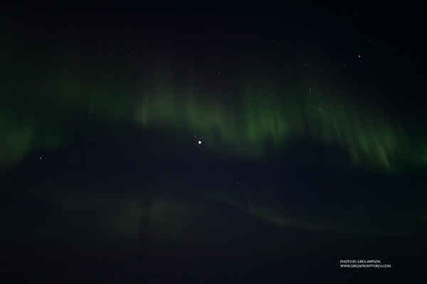 IMG_0939 copy