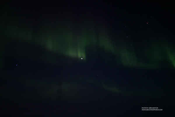 IMG_0940 copy