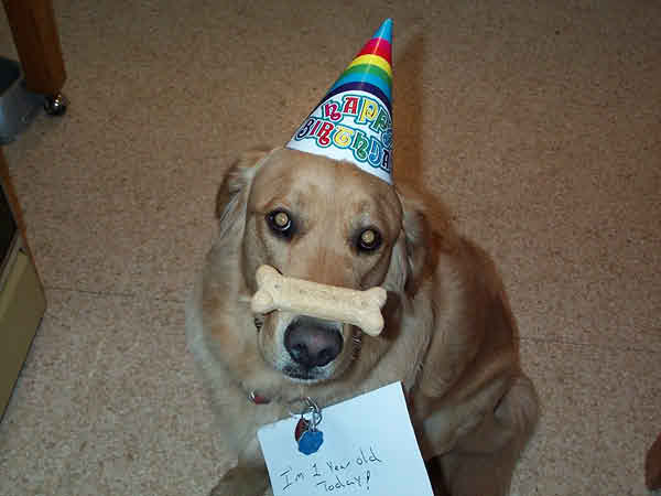 birthday
